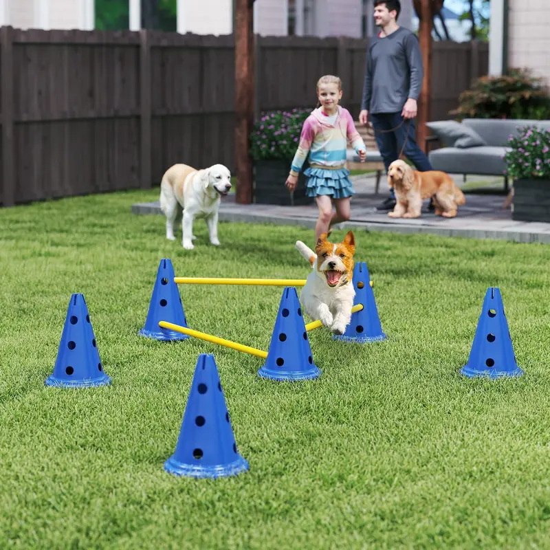 Compact Dog Agility Set – 6 Cones, 6 Poles, 3 Adjustable Jumps, Blue, With Carry Bag 1