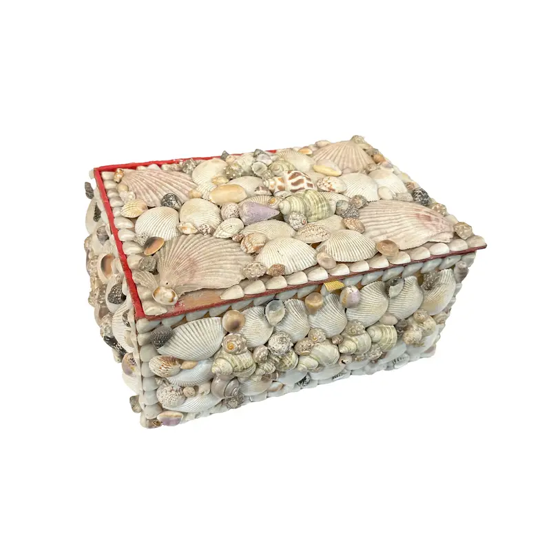Natural Sea Shell Decorative Trinket Box 1